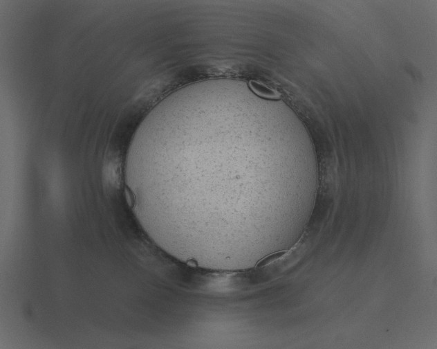 X0000116570090200912241643