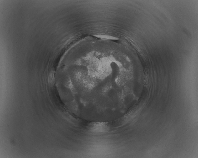 X0000116570093200912241643