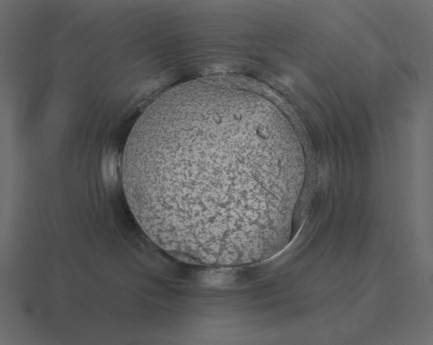 X0000116570094200912241643