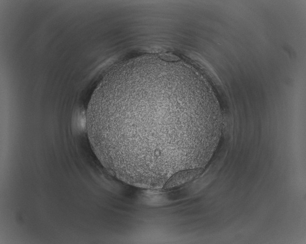 X0000116570095200912241643