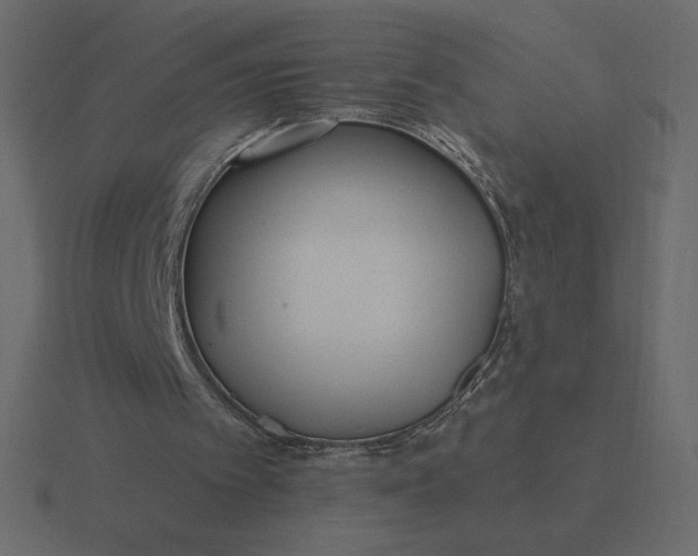 X0000116570097200912241642