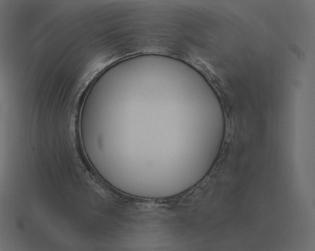 X0000116570098200912241642