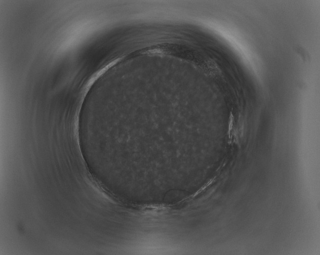 X0000116570099200912241642