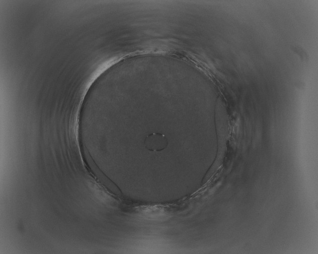 X0000116570100200912241642