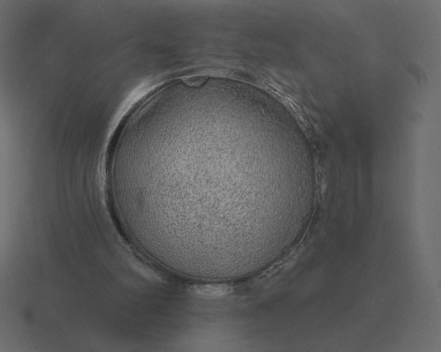 X0000116570102200912241642