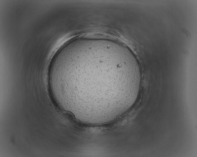 X0000116570103200912241642