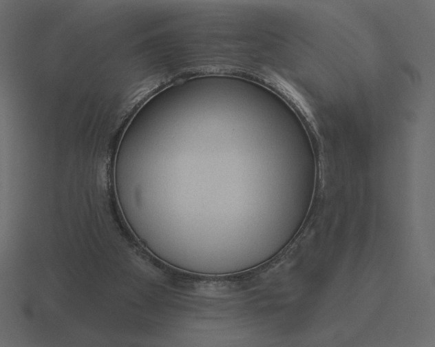 X0000116570105200912241642