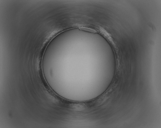 X0000116570106200912241642