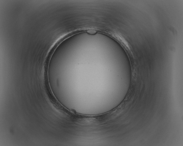 X0000116570108200912241642