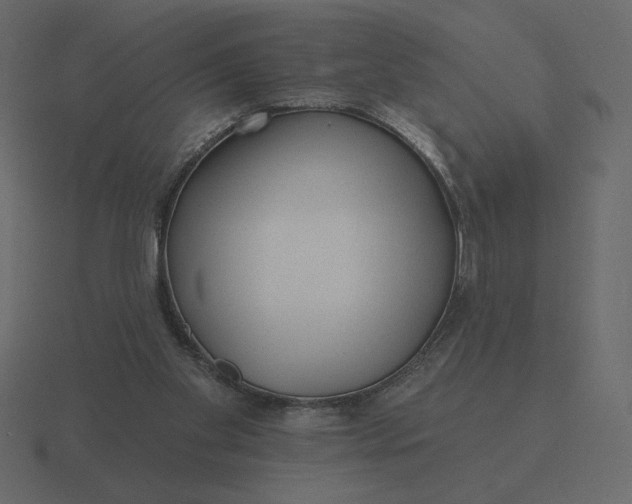 X0000116570109200912241642