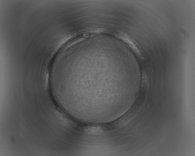 X0000116570110200912241642