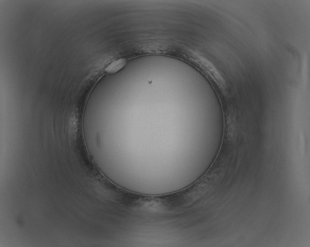 X0000116570113200912241642