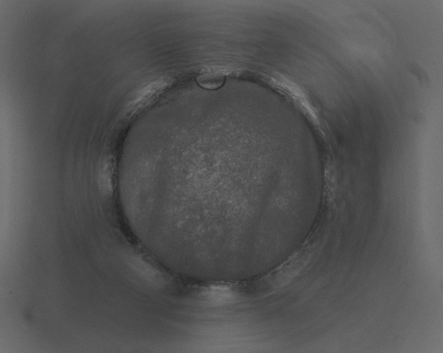 X0000116570114200912241642