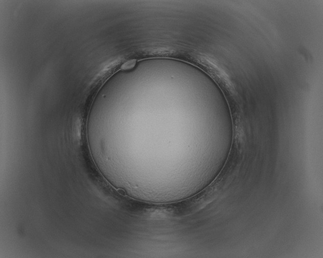 X0000116570115200912241642