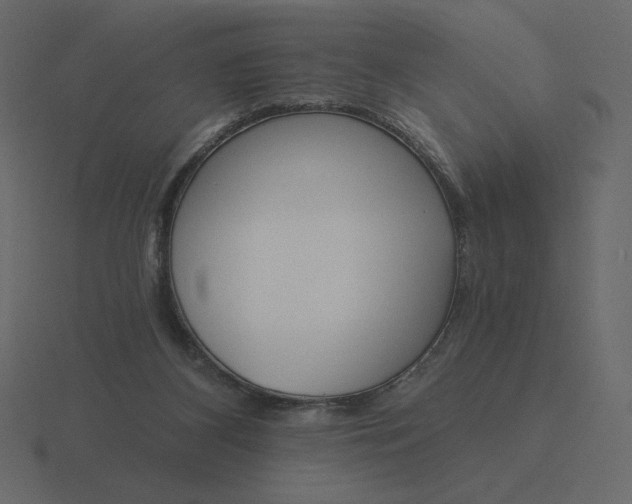 X0000116570116200912241642