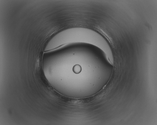 X0000116570117200912241642