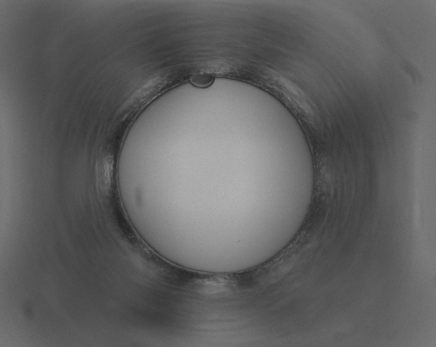 X0000116570118200912241642