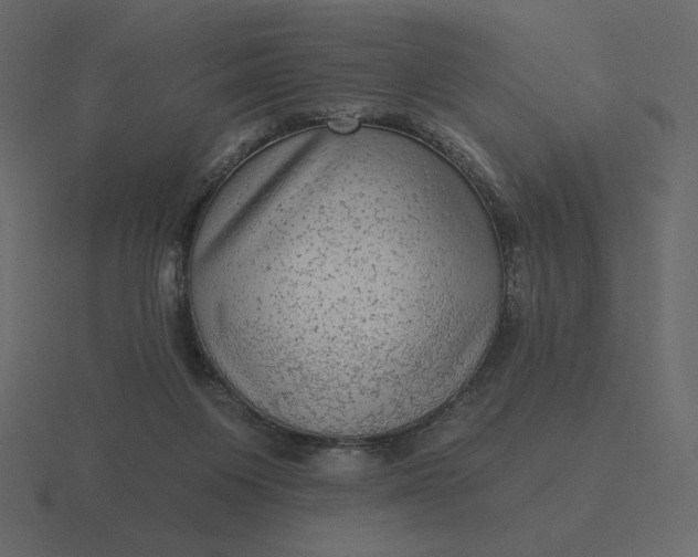 X0000116570119200912241642