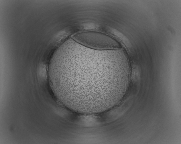 X0000116570121200912241642