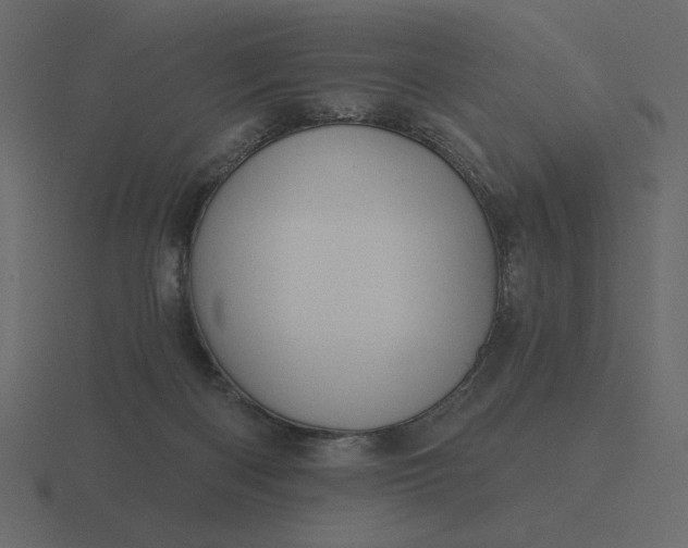 X0000116570122200912241642