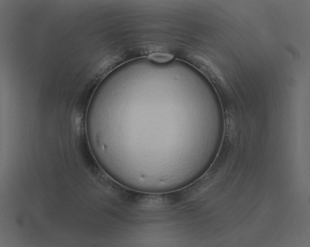 X0000116570123200912241642