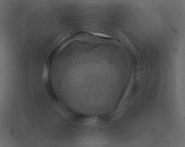 X0000116570124200912241642