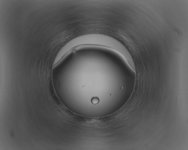 X0000116570125200912241642