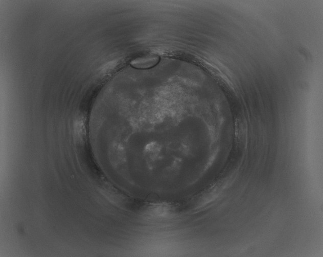 X0000116570127200912241642