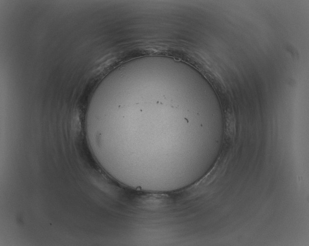 X0000116570128200912241642