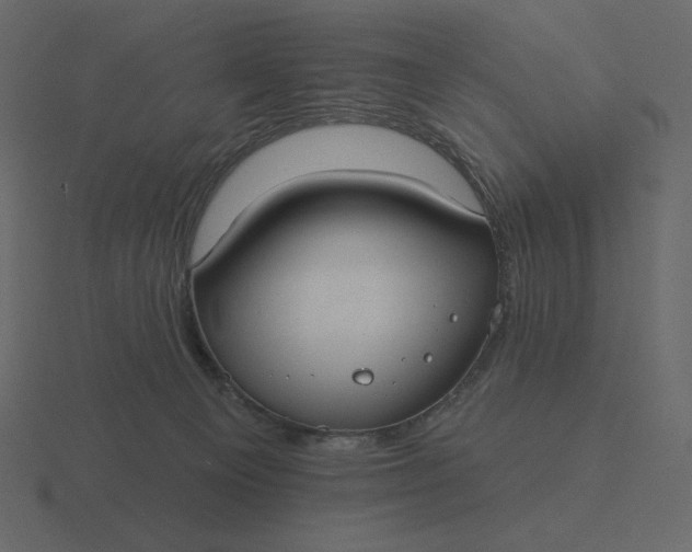 X0000116570129200912241642