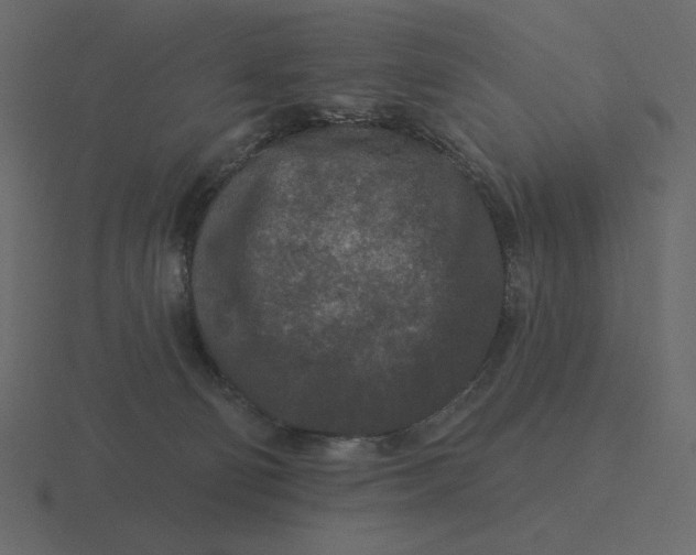 X0000116570130200912241642