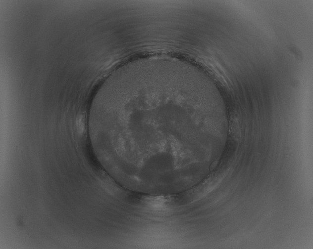 X0000116570131200912241642