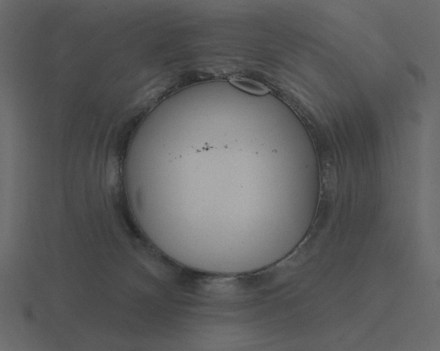 X0000116570132200912241642