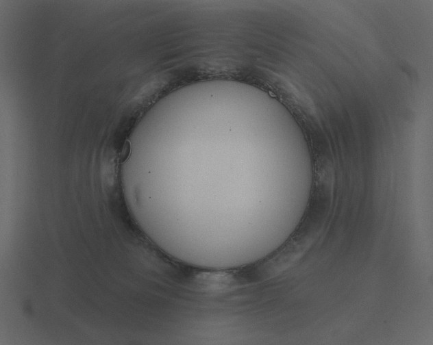 X0000116570133200912241642