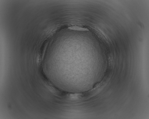 X0000116570134200912241642