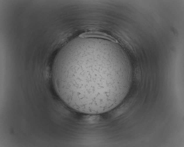 X0000116570135200912241642