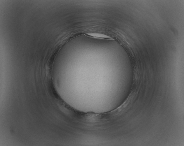 X0000116570136200912241642