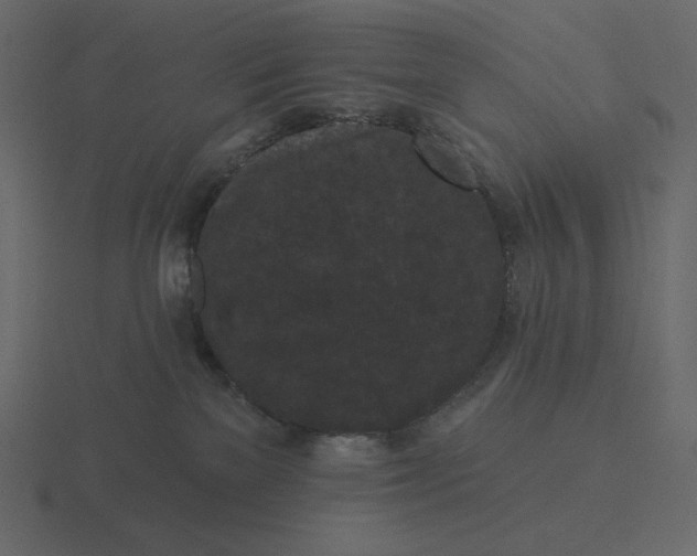 X0000116570137200912241642