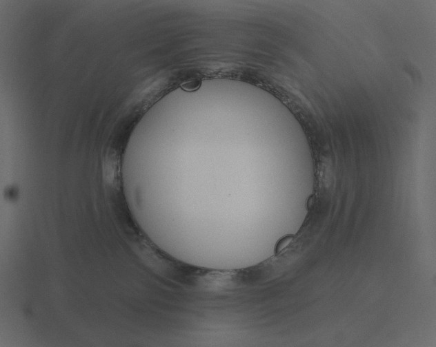 X0000116570138200912241642