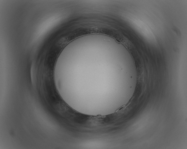 X0000116570140200912241642