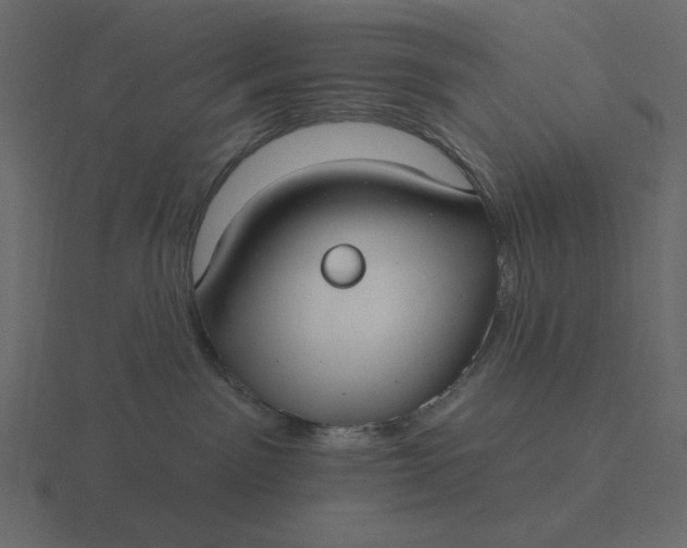 X0000116570141200912241642