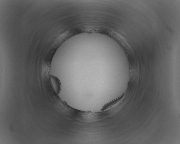 X0000116570142200912241642