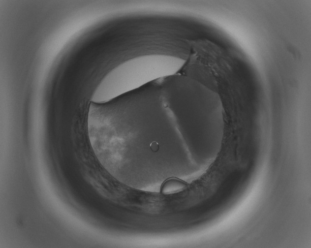 X0000116570143200912241642