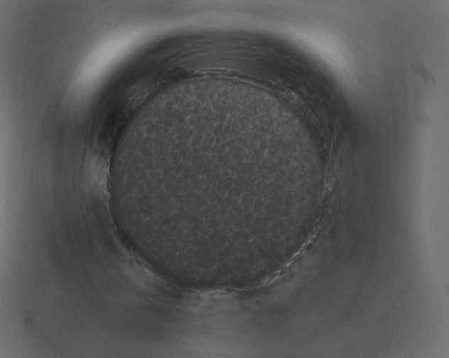 X0000116570146200912241641