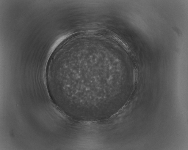 X0000116570147200912241641