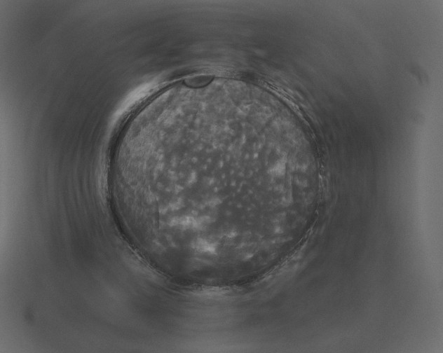 X0000116570149200912241641