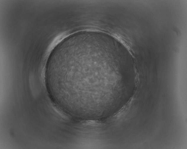 X0000116570151200912241641