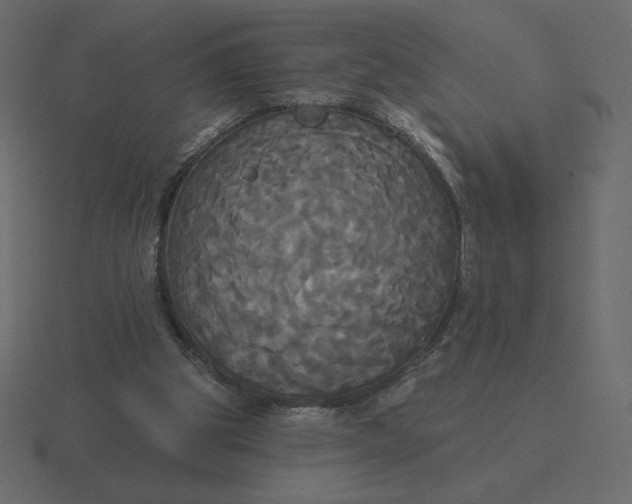 X0000116570153200912241641