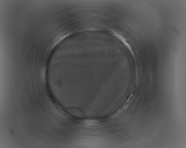 X0000116570154200912241641