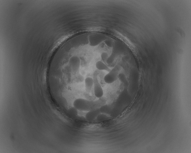 X0000116570155200912241641